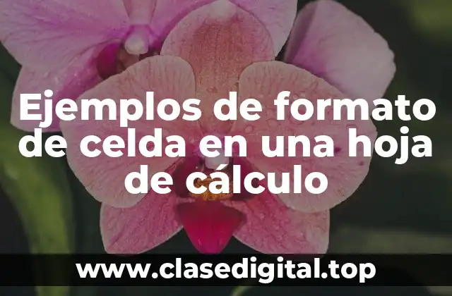 Ejemplos de formato de celda en una hoja de cálculo