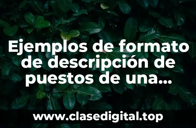 Ejemplos de formato de descripción de puestos de una empresa y Significado