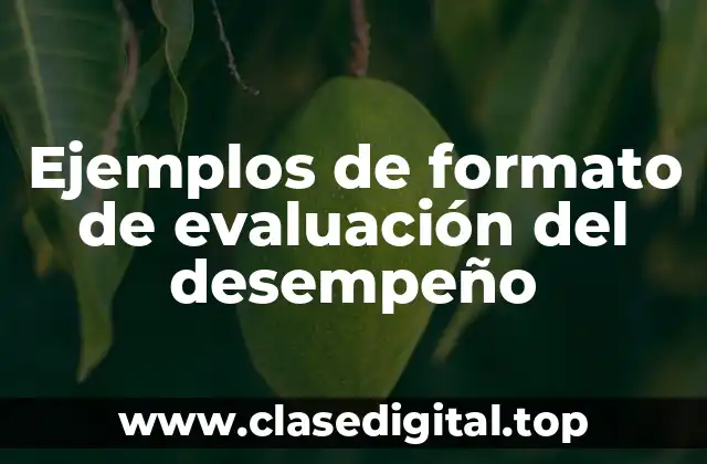 Ejemplos de formato de evaluación del desempeño