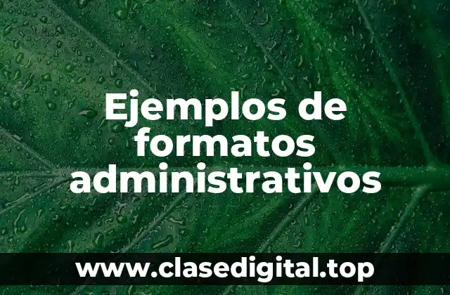 Ejemplos de formatos administrativos