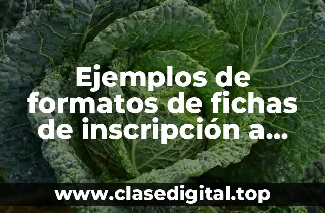 Ejemplos de formatos de fichas de inscripción a primaria y Significado