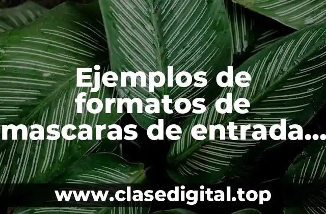 Ejemplos de formatos de mascaras de entrada en Access y Significado