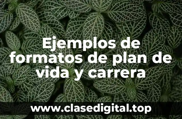 Ejemplos de formatos de plan de vida y carrera