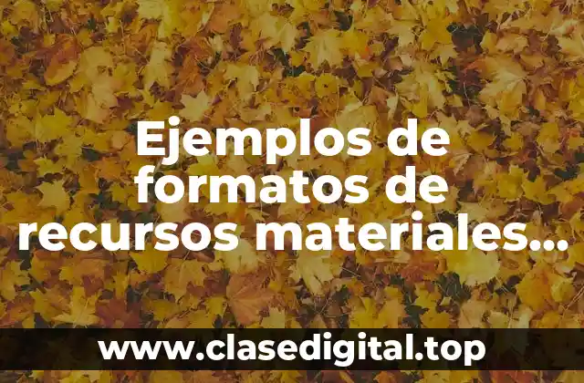 Ejemplos de formatos de recursos materiales de escuela primaria