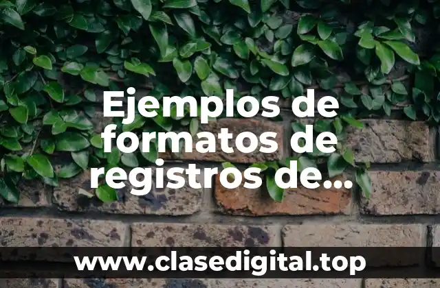 Ejemplos de formatos de registros de operaciones de una máquina