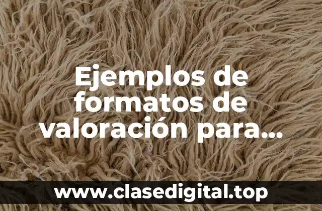 Ejemplos de formatos de valoración para procesos de enfermería y Significado