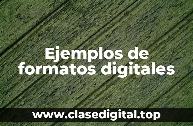 Ejemplos de formatos digitales