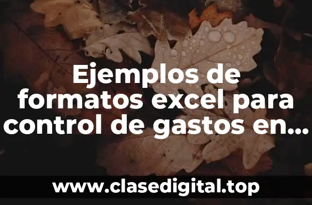 Ejemplos de formatos Excel para control de gastos en granja
