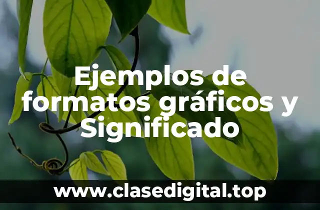 Ejemplos de formatos gráficos y Significado