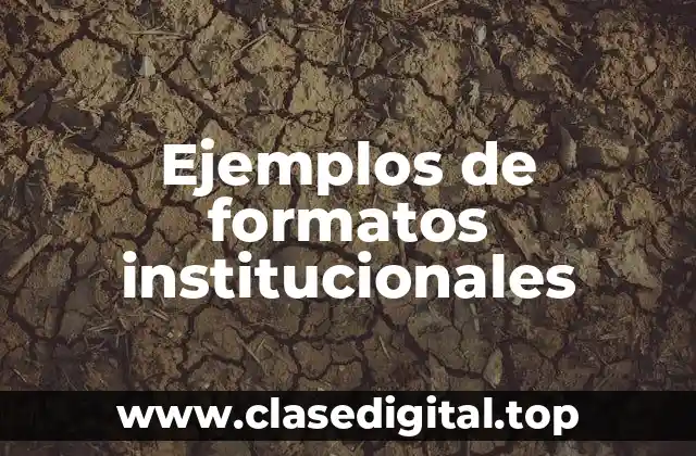 Ejemplos de formatos institucionales