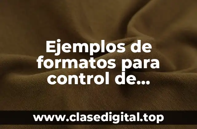 Ejemplos de formatos para control de inventarios