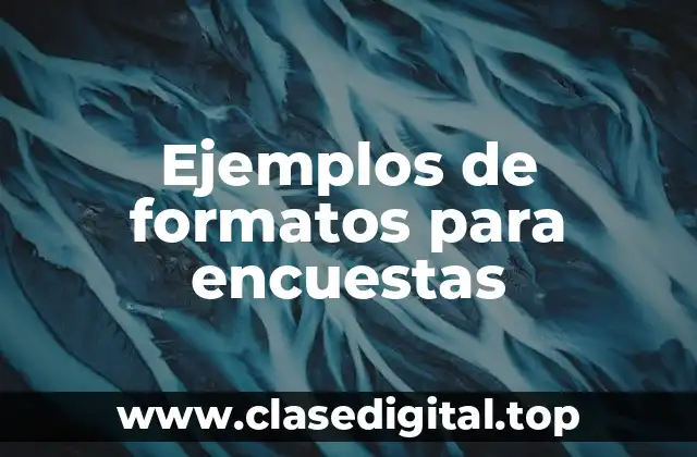 Ejemplos de formatos para encuestas
