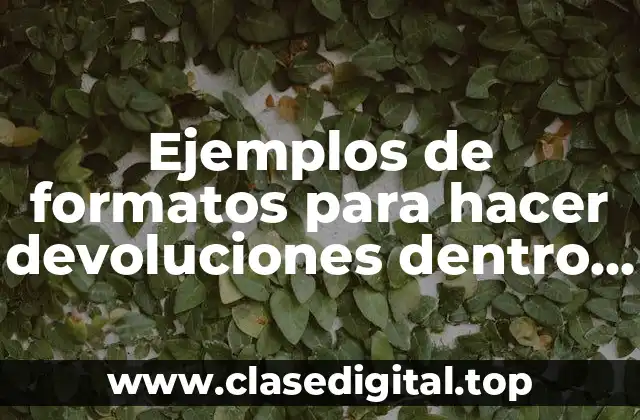 Ejemplos de formatos para hacer devoluciones dentro de un almacén
