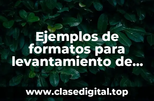 Ejemplos de formatos para levantamiento de área de trabajo