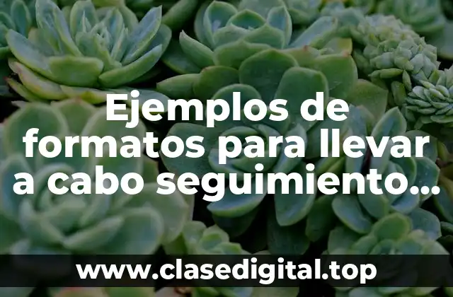 Ejemplos de formatos para llevar a cabo seguimiento de evaluación