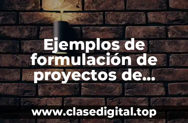 Ejemplos de formulación de proyectos de inversión