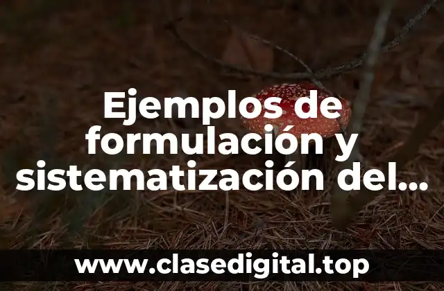 Ejemplos de formulación y sistematización del problema