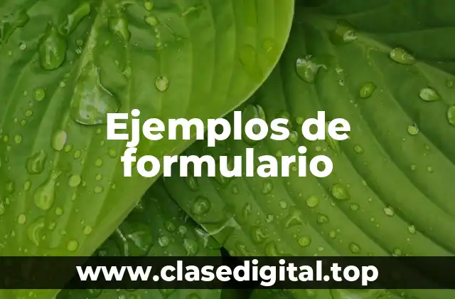 Ejemplos de formulario