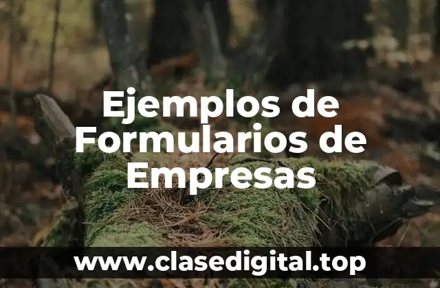 Ejemplos de Formularios de Empresas