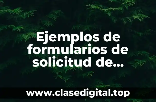 Ejemplos de formularios de solicitud de registros para concursos