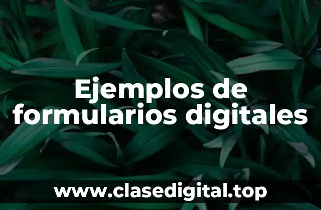 Ejemplos de formularios digitales