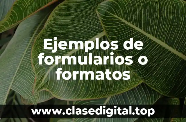 Ejemplos de formularios o formatos