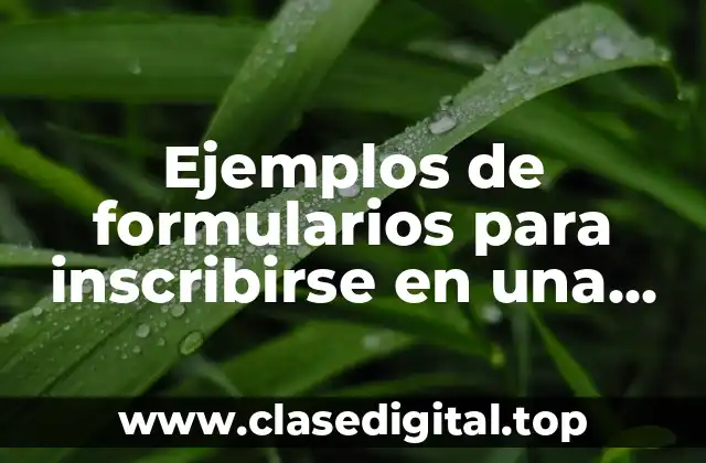 Ejemplos de formularios para inscribirse en una escuela deportiva