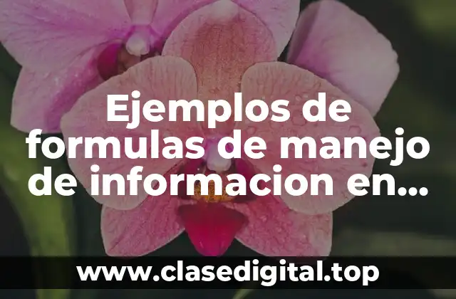 Ejemplos de formulas de manejo de informacion en excel