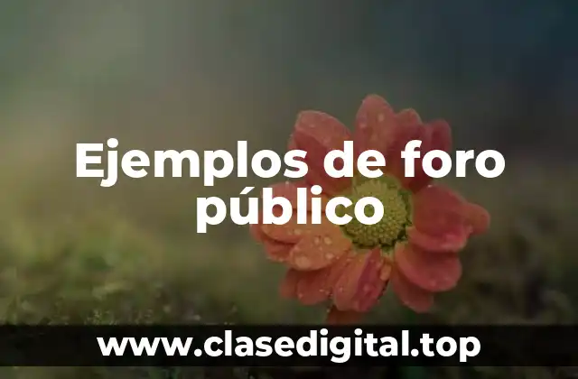 Ejemplos de foro público