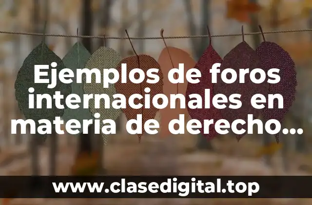 Ejemplos de foros internacionales en materia de derecho internacional