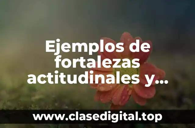 Ejemplos de fortalezas actitudinales y aptitudinales para curriculum vitae