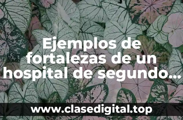 Ejemplos de fortalezas de un hospital de segundo nivel y Significado