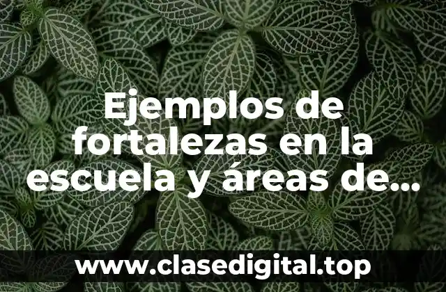 Ejemplos de fortalezas en la escuela y áreas de oportunidad