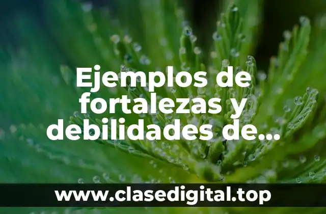 Ejemplos de fortalezas y debilidades de tercer grado de primaria