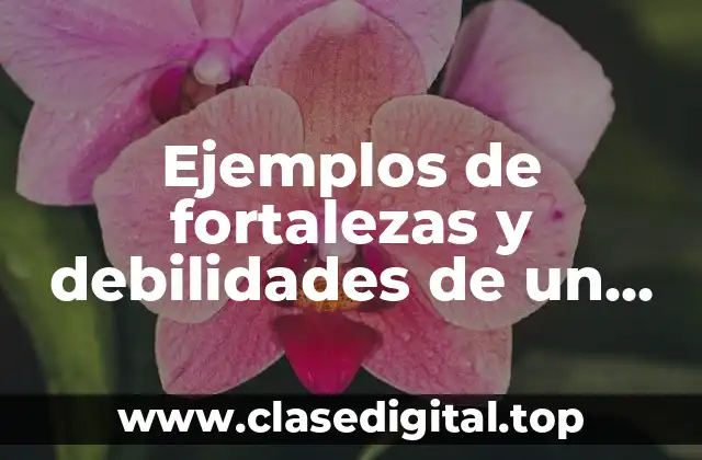 Ejemplos de fortalezas y debilidades de un estudiante de secundaria y Significado