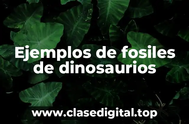 Ejemplos de fosiles de dinosaurios