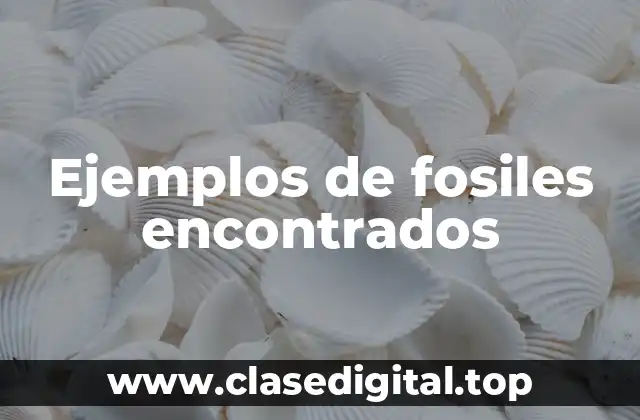 Ejemplos de fosiles encontrados
