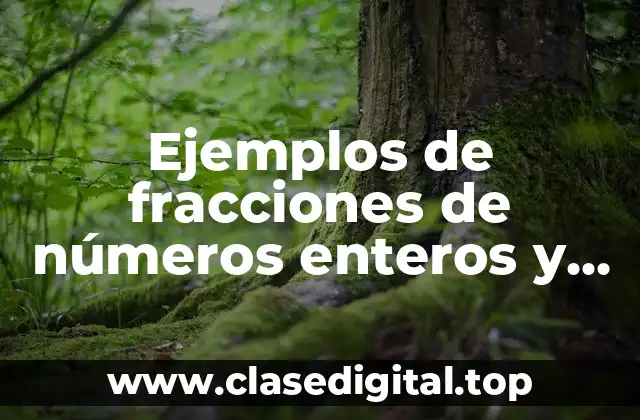 Ejemplos de fracciones de números enteros y Significado