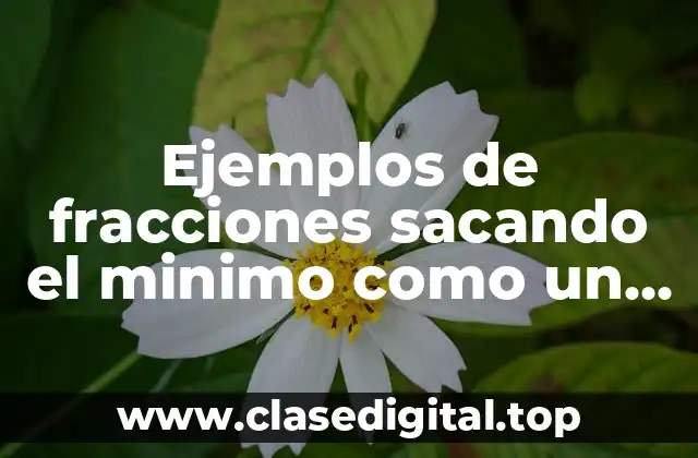 Ejemplos de fracciones sacando el minimo como un multiplo y Significado