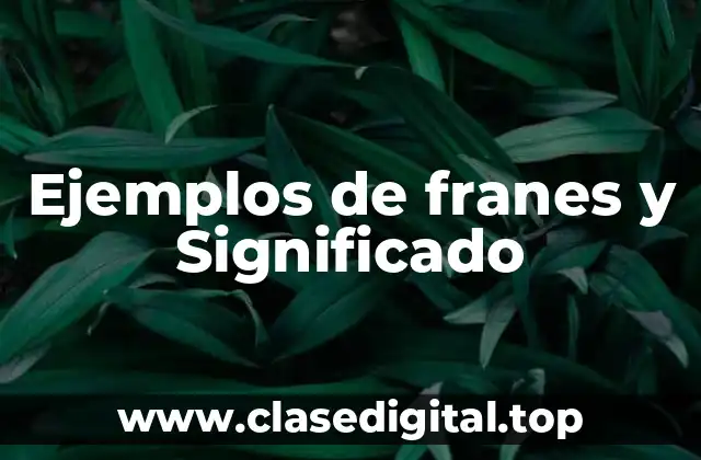 Ejemplos de franes y Significado