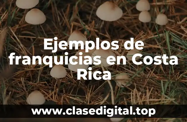 Ejemplos de franquicias en Costa Rica