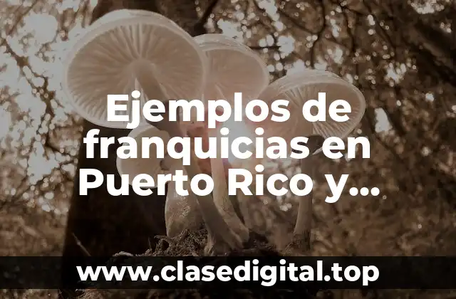 Ejemplos de franquicias en Puerto Rico