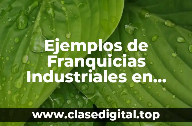 Ejemplos de Franquicias Industriales en México