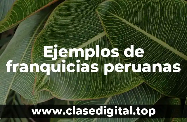 Ejemplos de franquicias peruanas