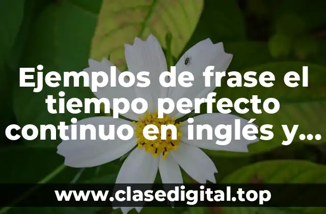 Ejemplos de frase el tiempo perfecto continuo en inglés y Significado