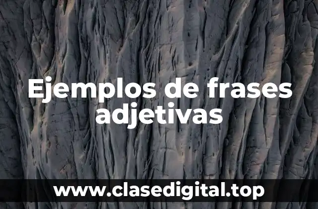 Ejemplos de frases adjetivas