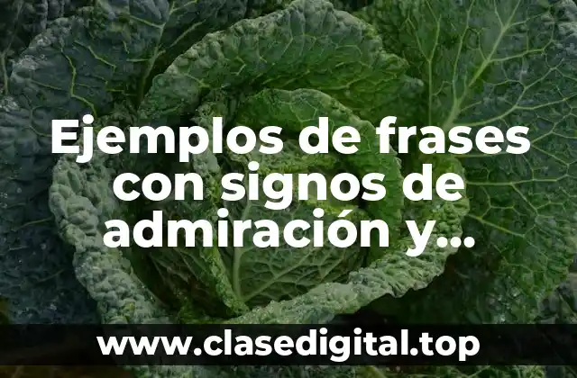 Ejemplos de frases con signos de admiración y interrogación