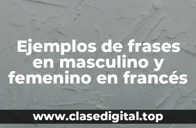 Ejemplos de frases en masculino y femenino en francés
