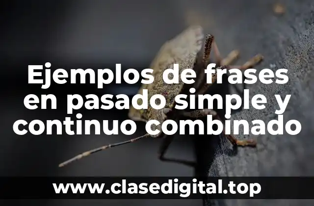 Ejemplos de frases en pasado simple y continuo combinado