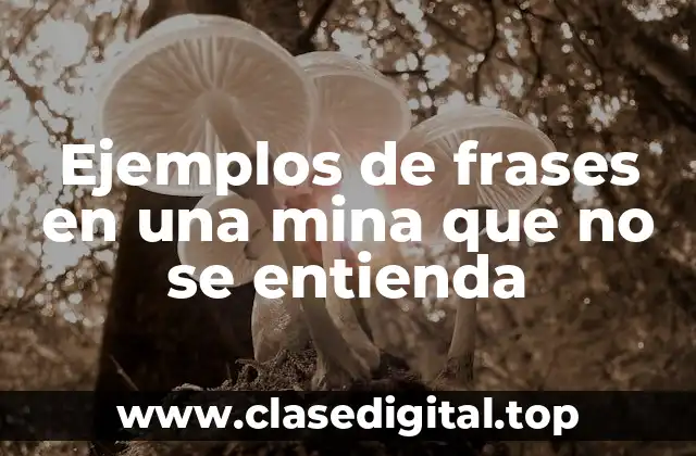 Ejemplos de frases en una mina que no se entienda